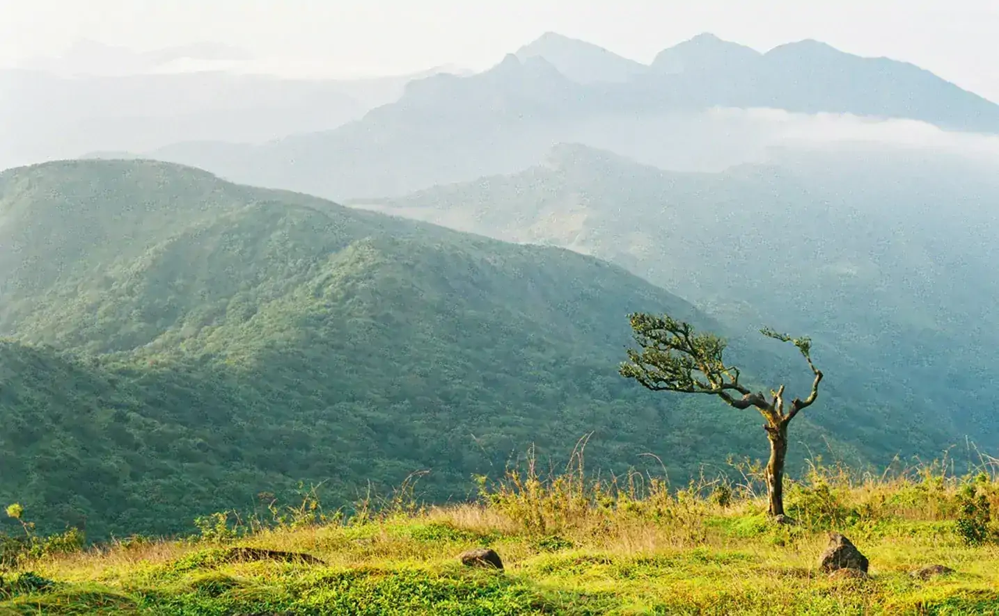 Complete Sri Lanka Tour(6 Days)